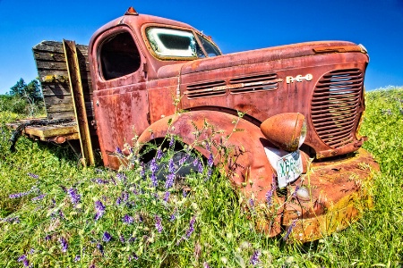 R.E.O. Speedwagon, The Palouse, Washington