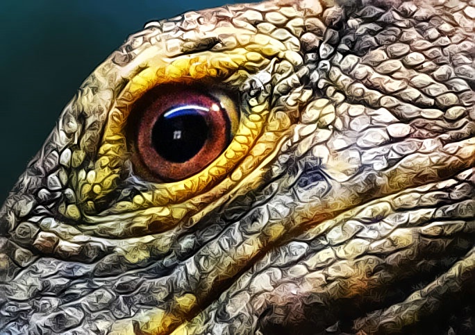 Eye Of The Gray's Monitor