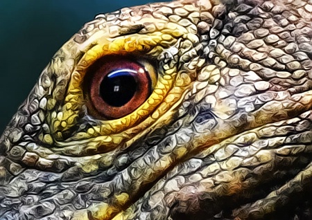 Eye Of The Gray's Monitor