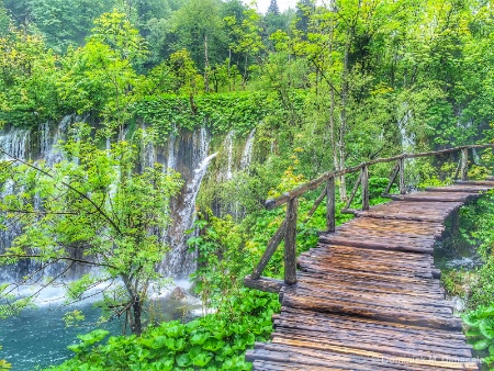 ~ ~ THE WOODEN WALKWAY ~ ~ 