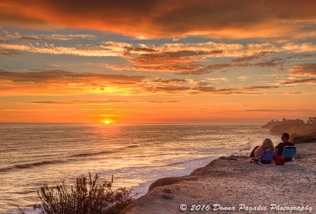 Sunset Companions