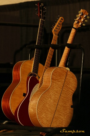 The Guitars