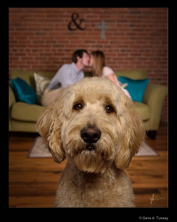 Engagement Photobomb