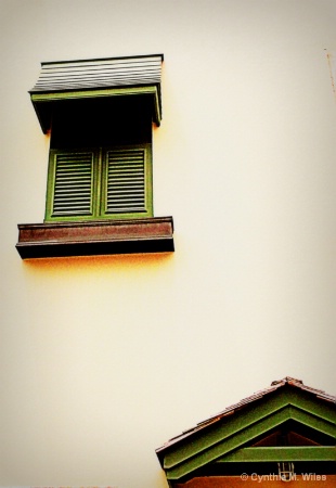 Window & Door