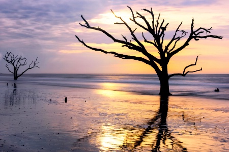 A Morning at Edisto Island