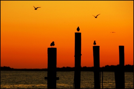 Evening on the Sound