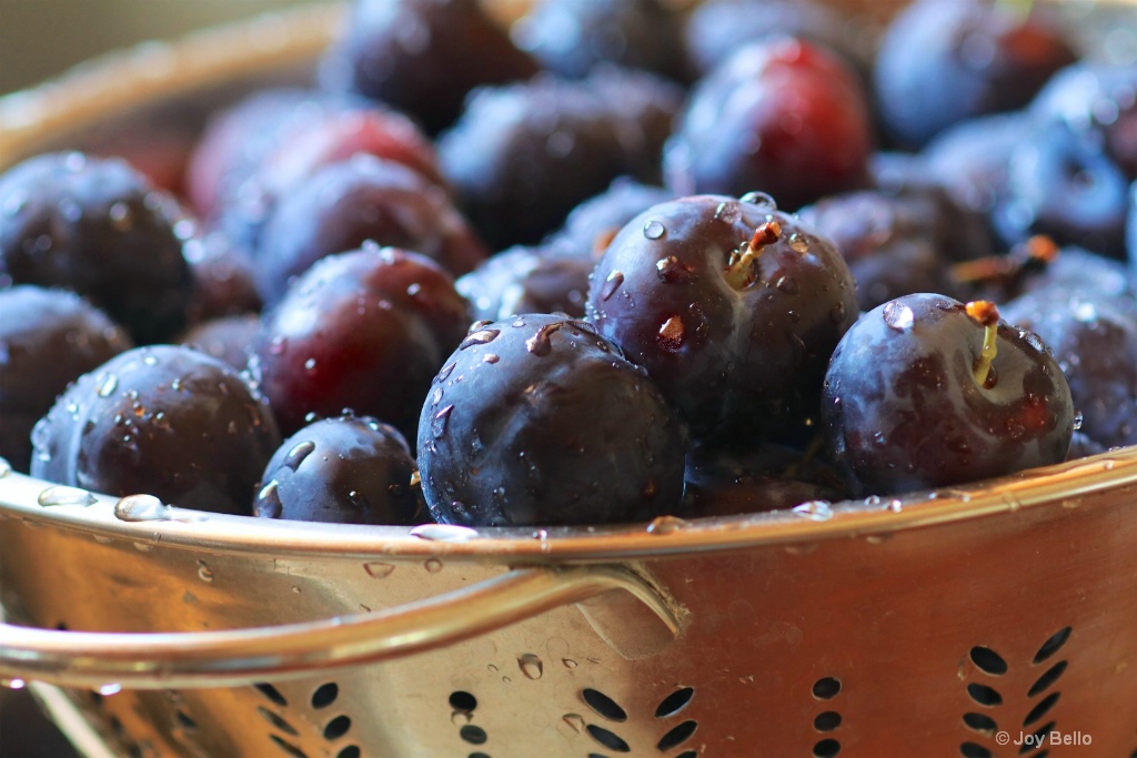 Fresh-picked Plums