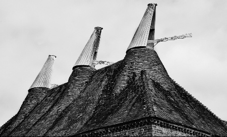 Sussex Farm in Black and White