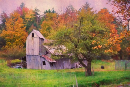 The Old Gray Barn