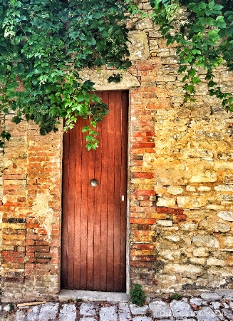 ~ ~ THE DOORWAY ~ ~ 