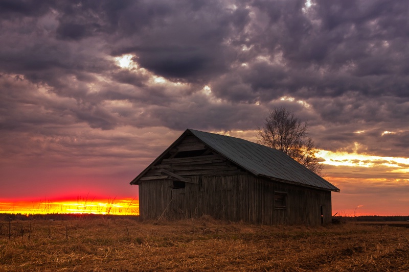 Sunset On The Springtime Fields