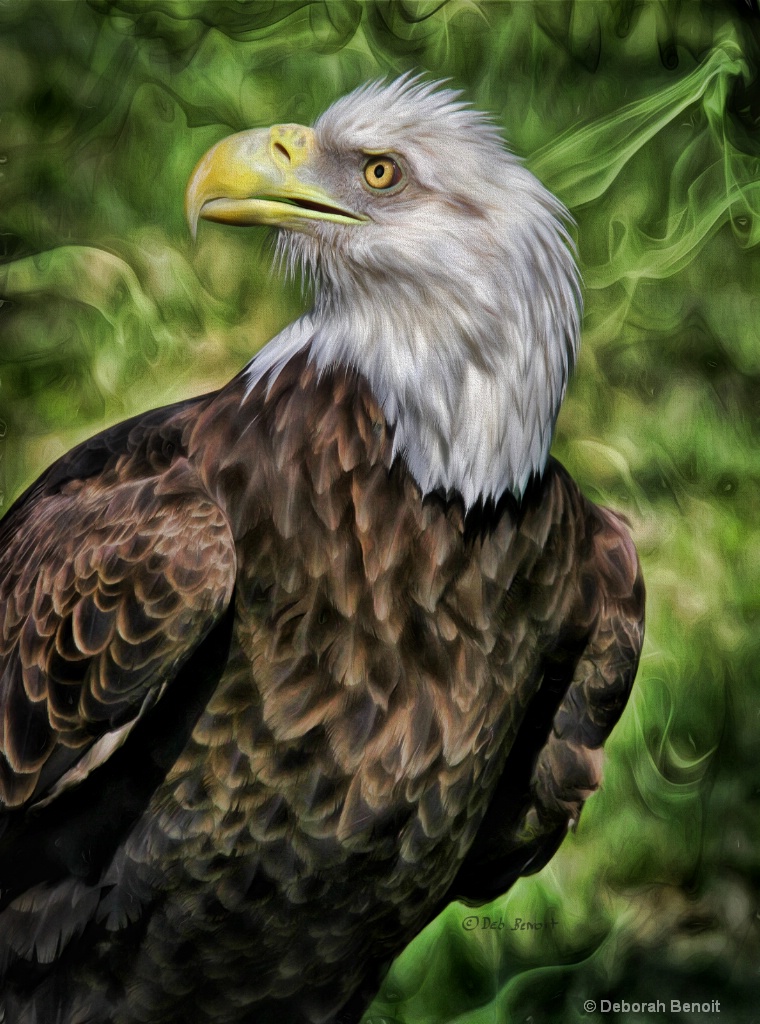 Eagle Vision