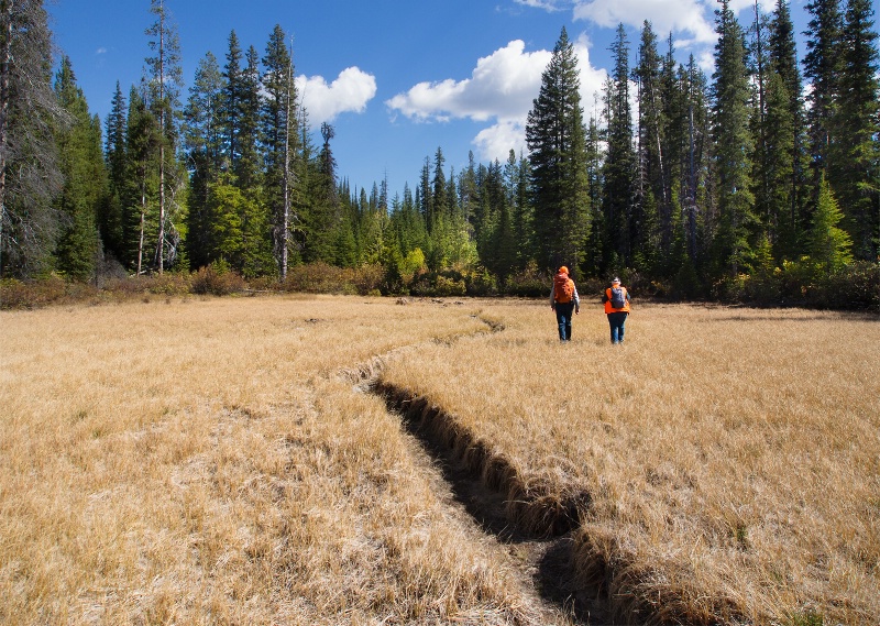 Boles Creek Headwaters