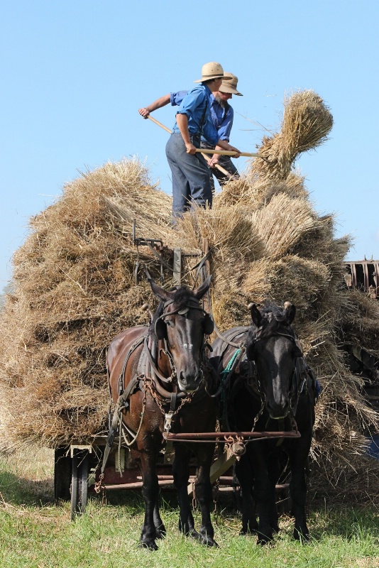 Amish Ways