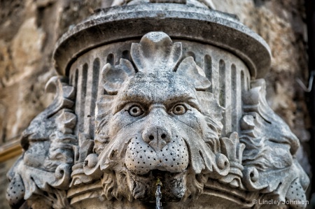 Fountain Face