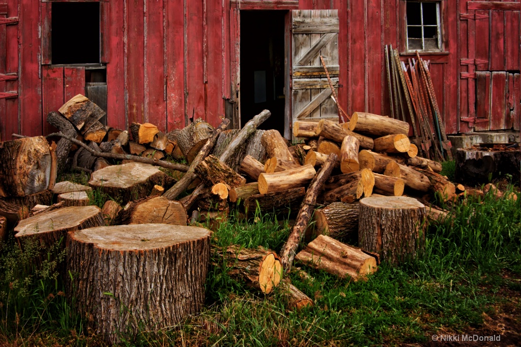 Behind the Wood Shed