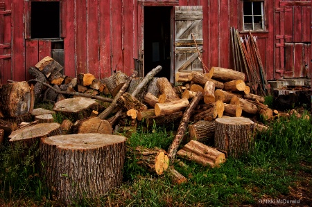 Behind the Wood Shed