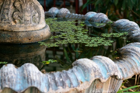 The La Rhonda Fountain