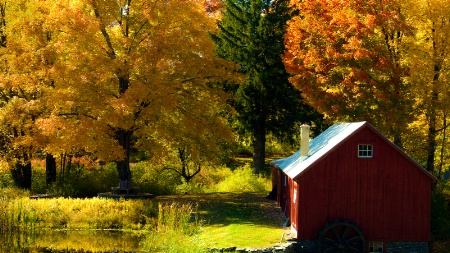 Fall In The Pocono