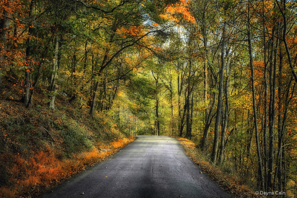 Maple Creek Road