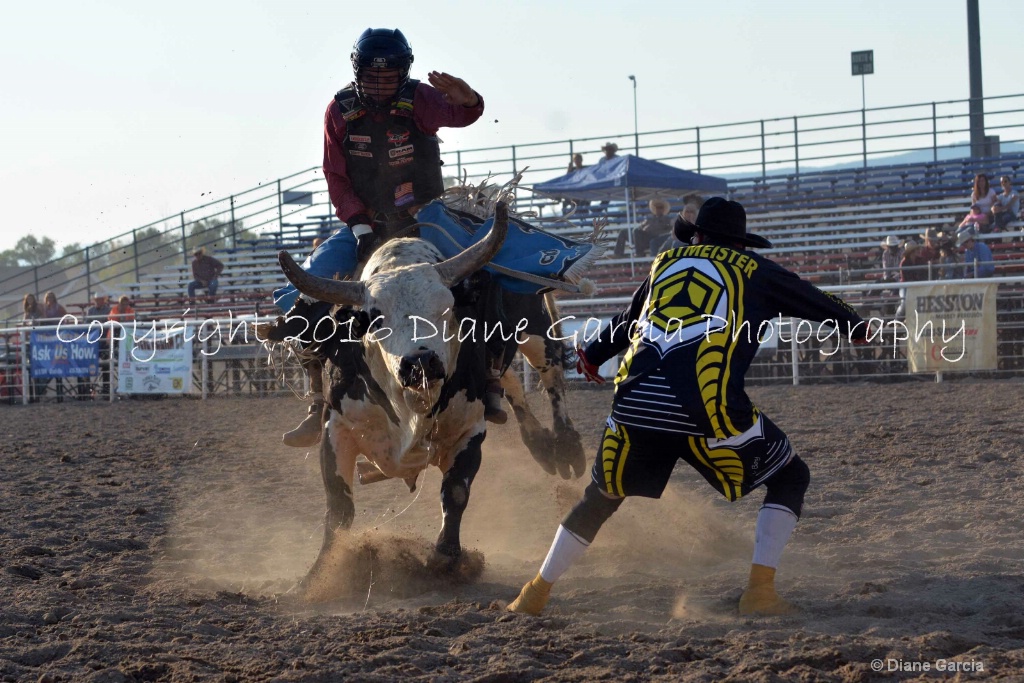 Colton Humphries UHS 2016 F Oakley B 2 - ID: 15261257 © Diane Garcia