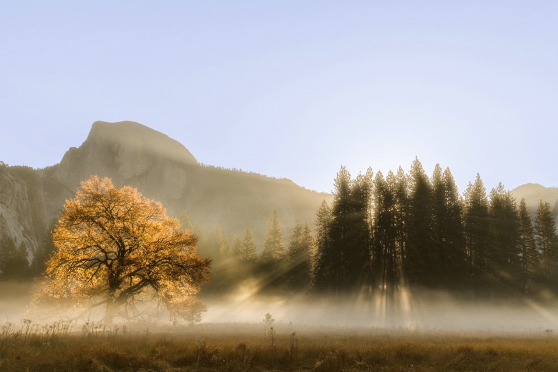 Cook Meadow Sunrise