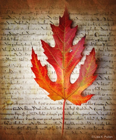 ~Autumn's Declaration~