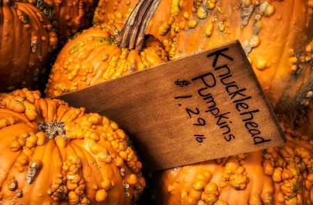 Knocklehead Pumpkins