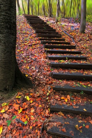 Stairs to unknown