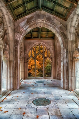 Autumn Arches