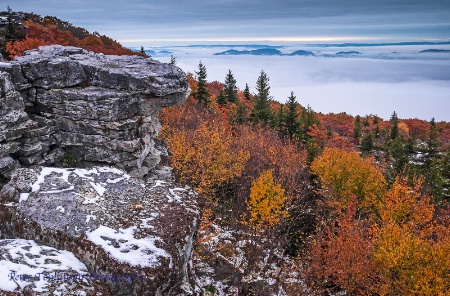 Sunrise, Dolly Sods, West Virginia