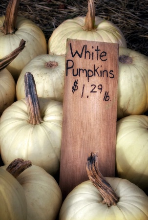 White Pumpkins