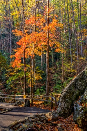 On The Path From The Falls