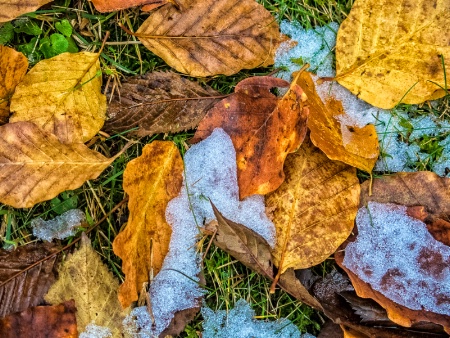 Autumn and first Signs of Winter