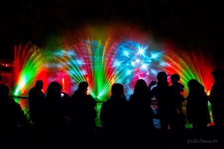 Light Show at the LA Zoo