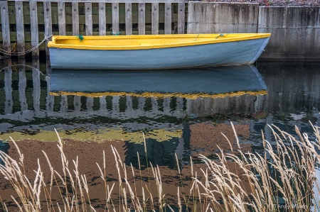 Yellow and Gray