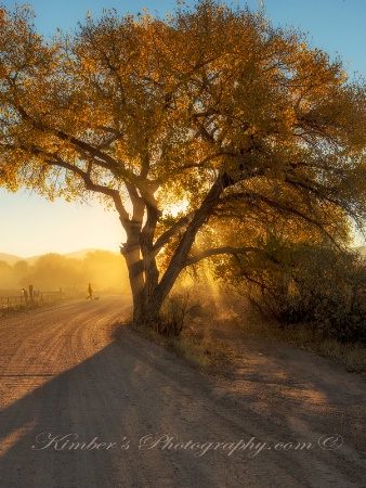 Fall Colors in the Cottonwoods