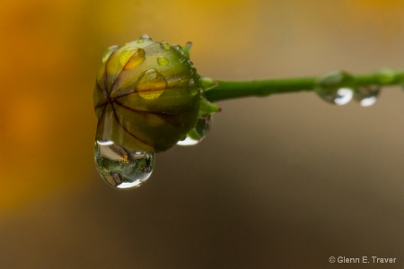 Dripping Glass