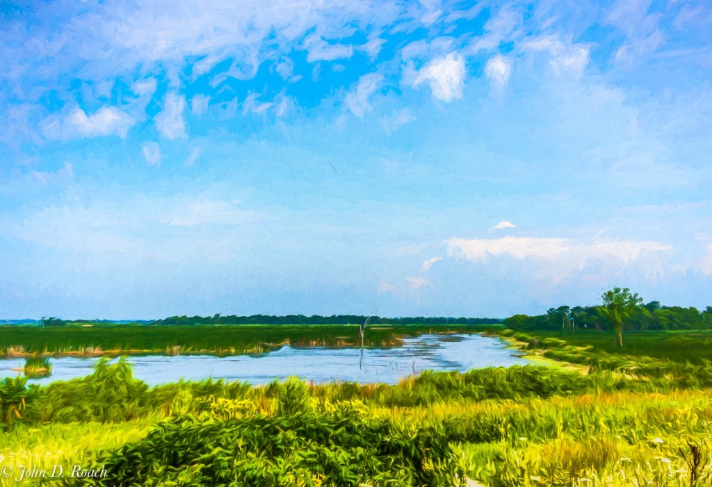 Marsh in Summer