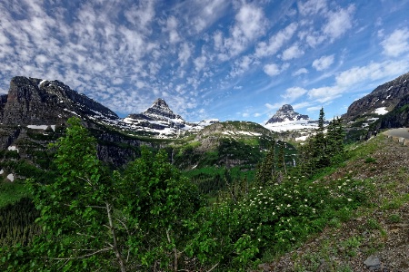 Glatier National Park Early Morning