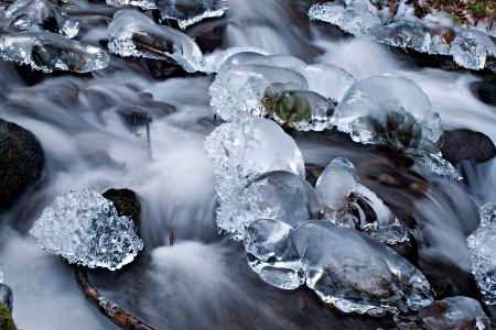 Winter at Wahkeena