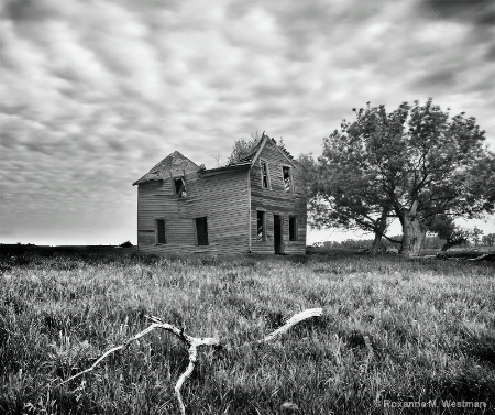 Remains of a country home