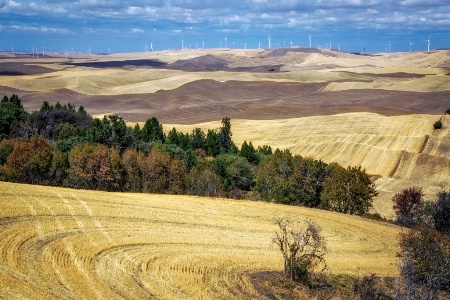 The Palouse in Autumn