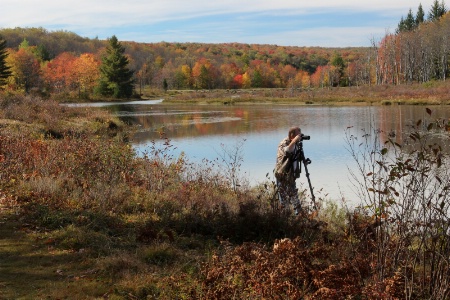 Fall Photographer