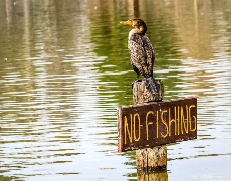 No Fishing! 