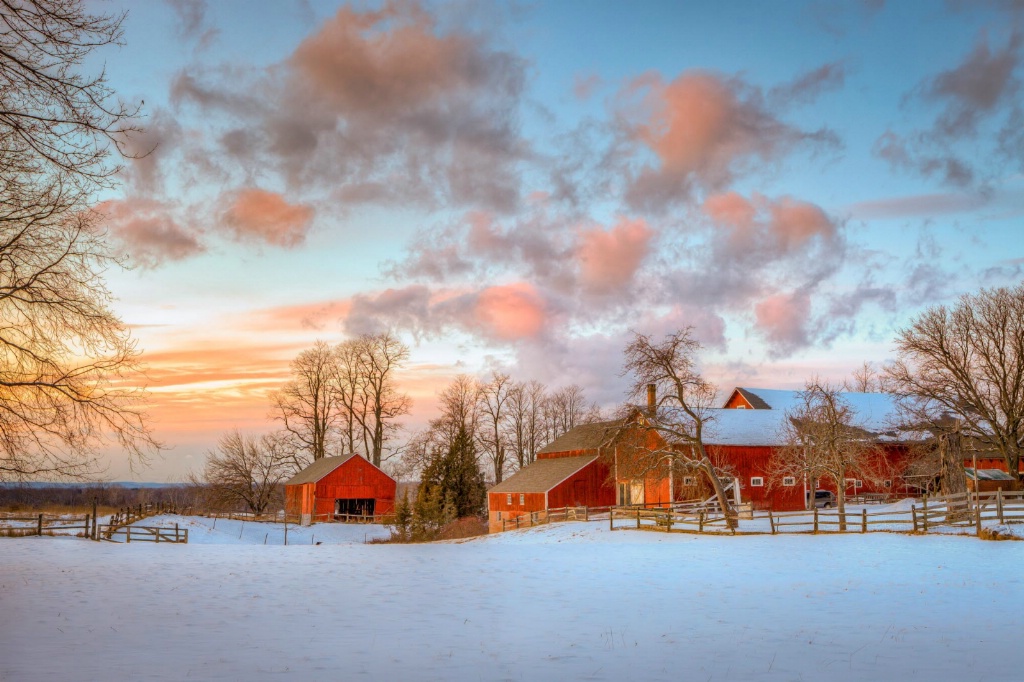 Winter On The Farm