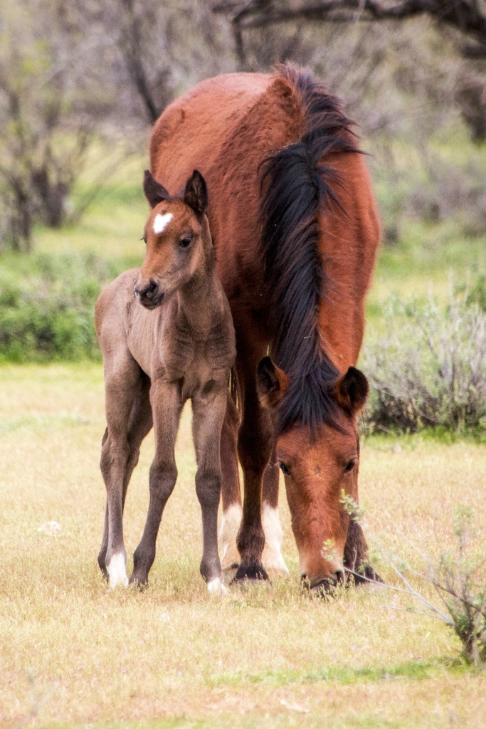 Mother and Daughter