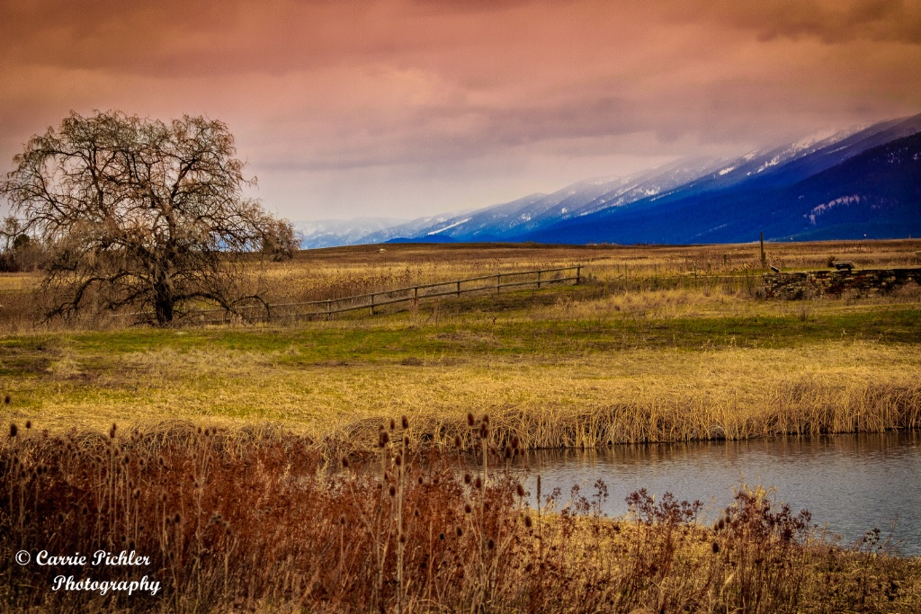 Spring in the Valley