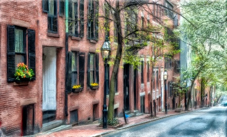 Springtime on Beacon Hill