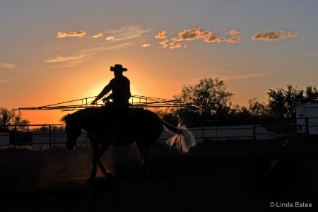 Sunset Cowboy